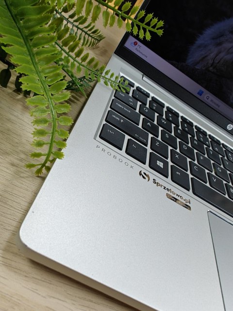 Laptop HP ProBook 445 G8 Ryzen 7 5800U 16GB 256GB W11 FHD - Klasa A- - Gwarancja 24M