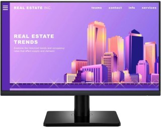 Monitor Dell P2422H 23,8" 1920x1080 LED/IPS - Klasa A- - Gwarancja 24M